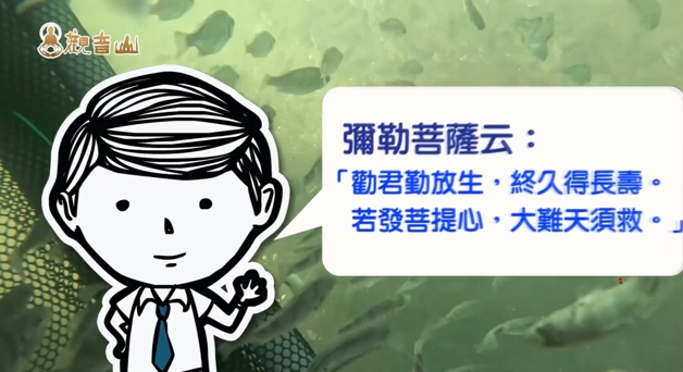 放生 觀音山保育放流